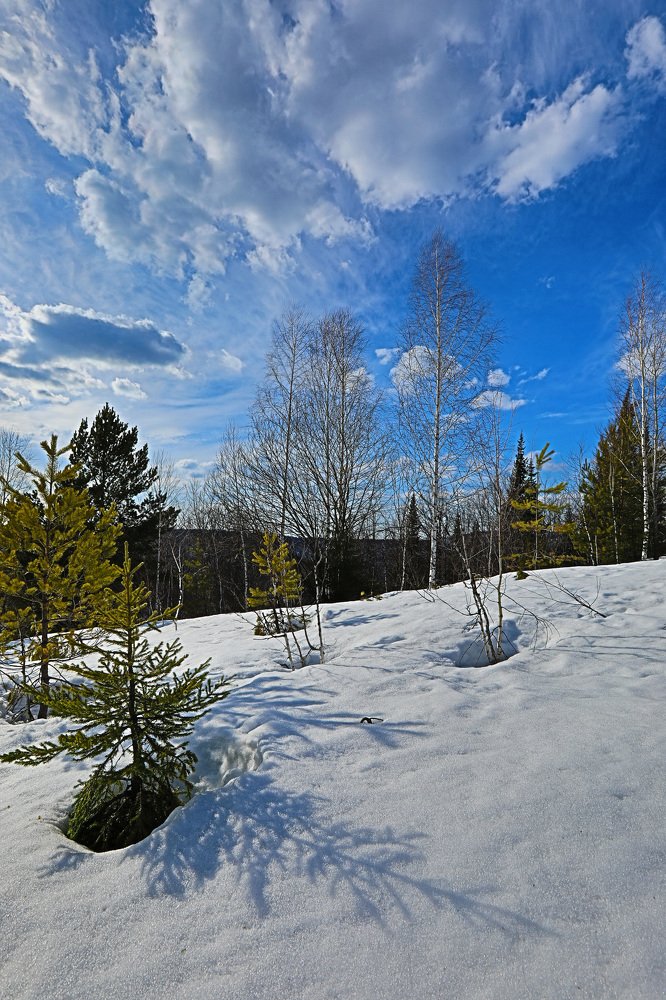 Photograph by Станислав Кудрицких