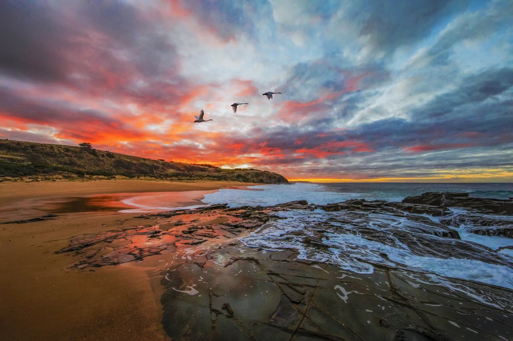 Flying In The Beautiful Sky
