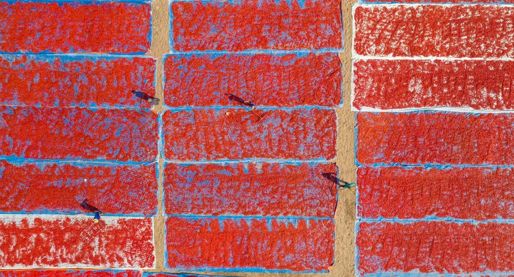 Photograph by Hoang Trong Nguyen