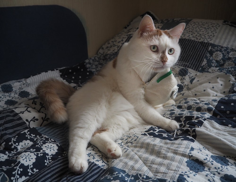 А у тебя есть маска?