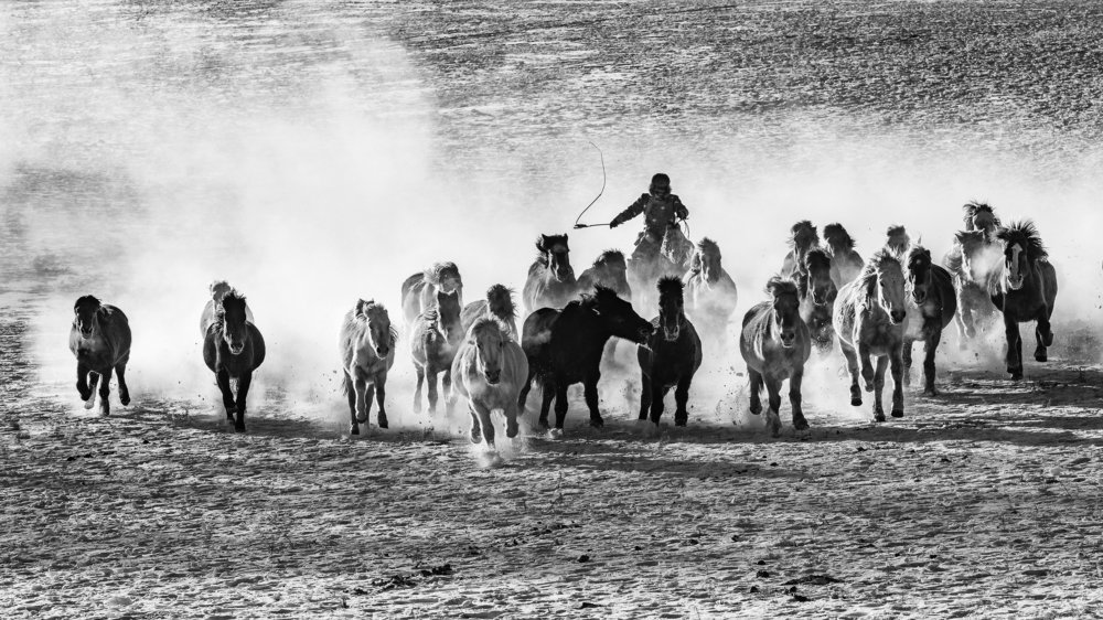 Chasing On The Snow Field