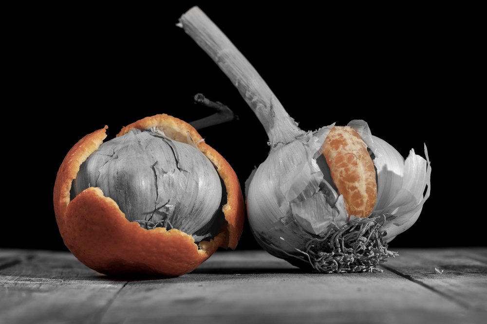 Photograph by Zahr-eddine GUERNICHE