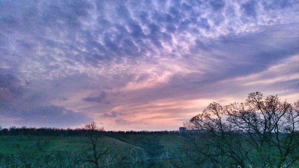 Photo #4503672