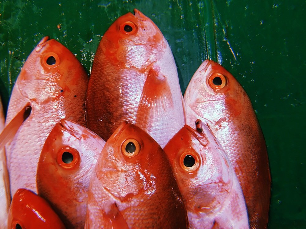 Photograph by Naveen Gowtham