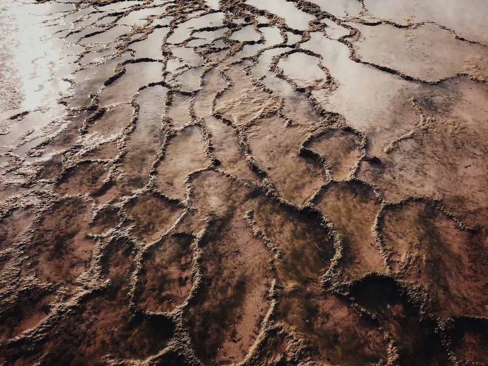 Photograph by Naveen Gowtham