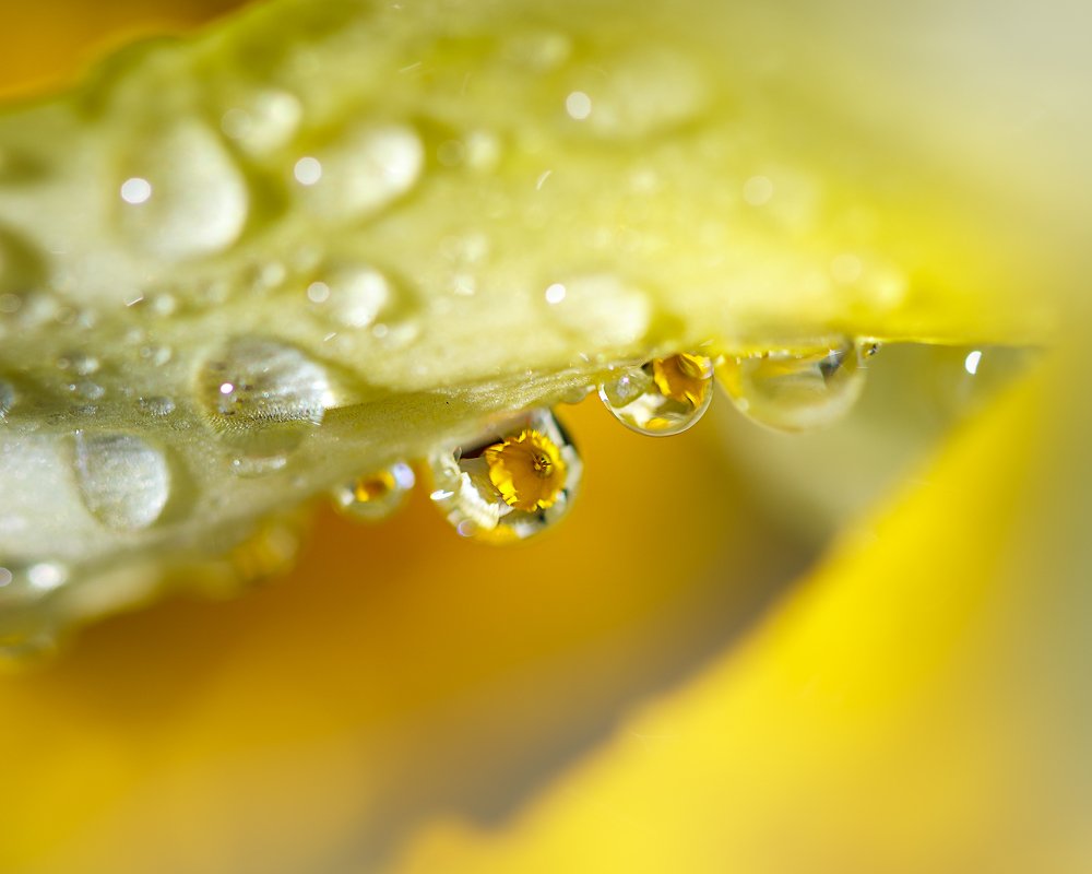 Photograph by Дарья Терещенко