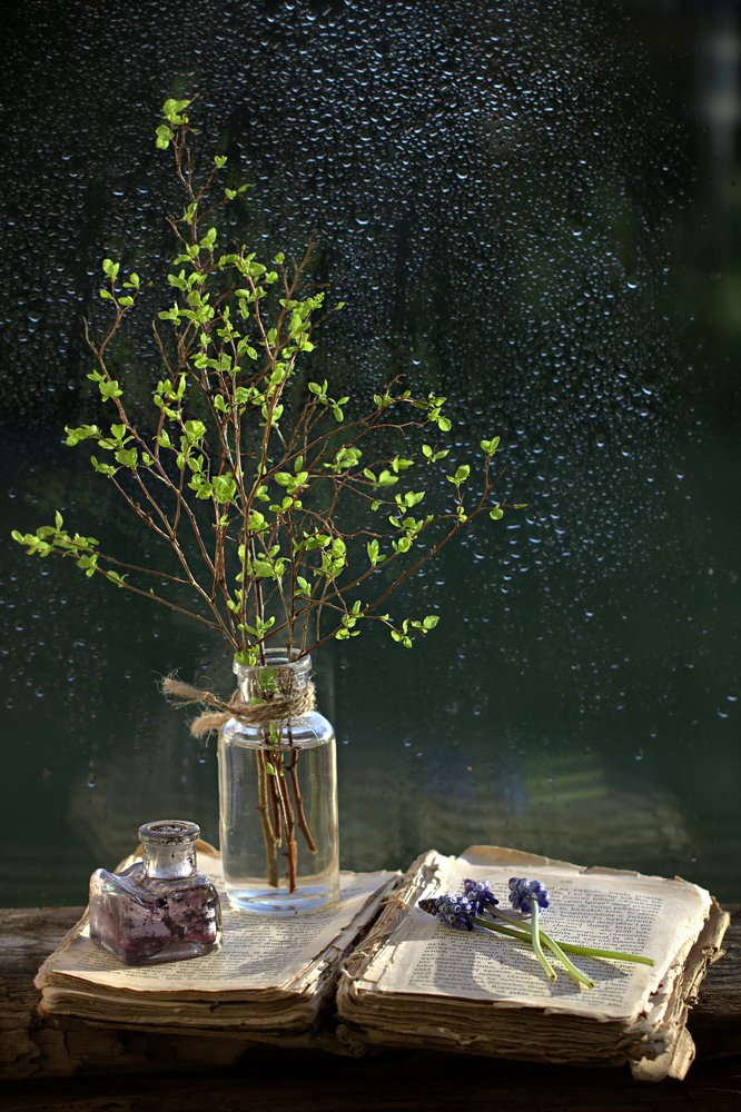 Photograph by Sonata Žemgulienė