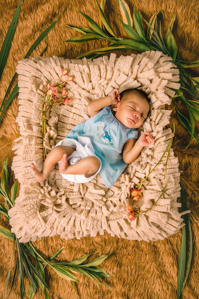 Photograph by  Hemal Perera