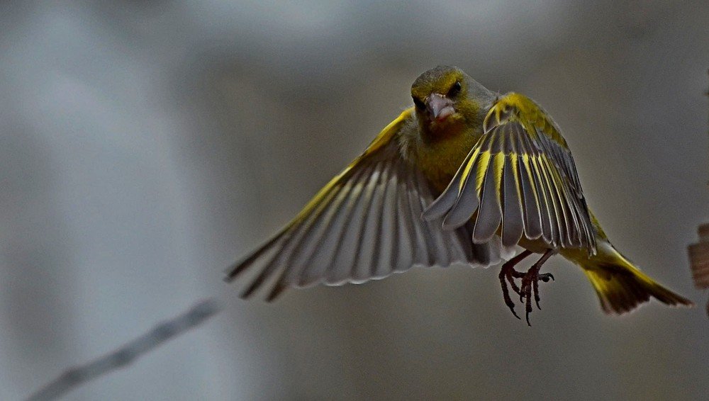 Photograph by Сергей Торхов