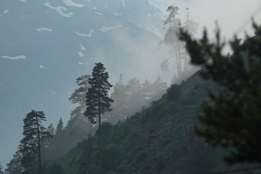 Photograph by Сандро