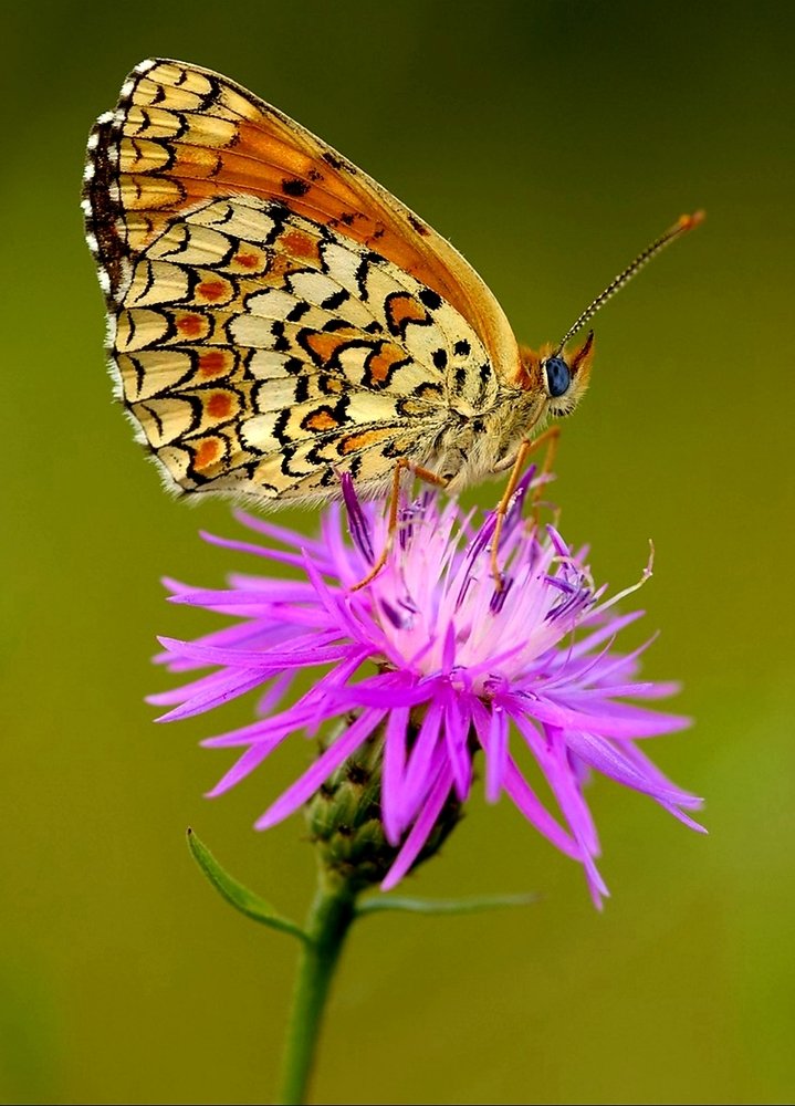 Photograph by Gönül Demirel