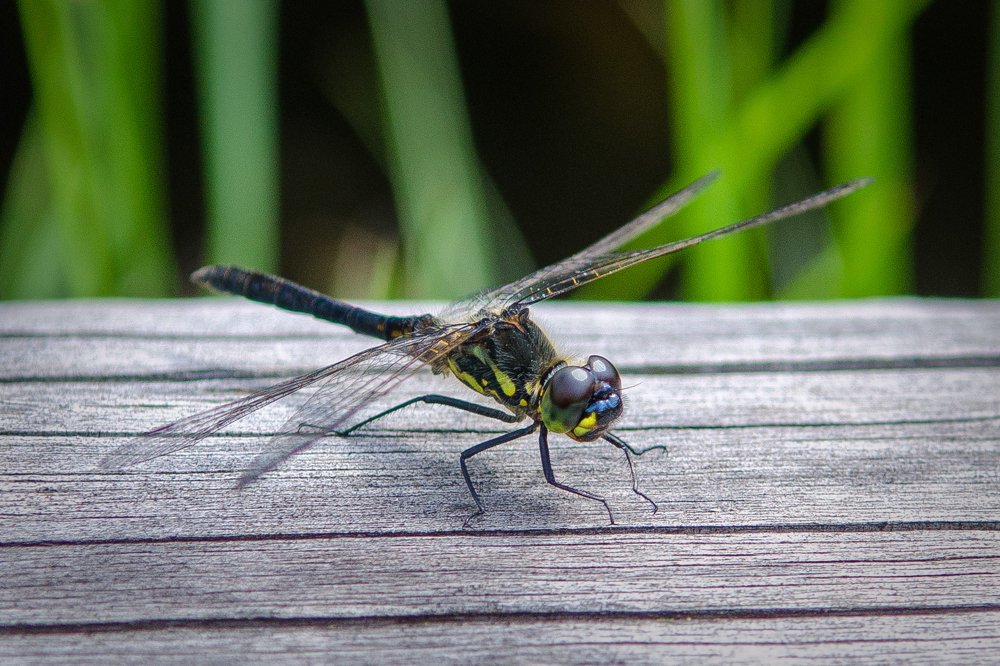 Photograph by Геннадий