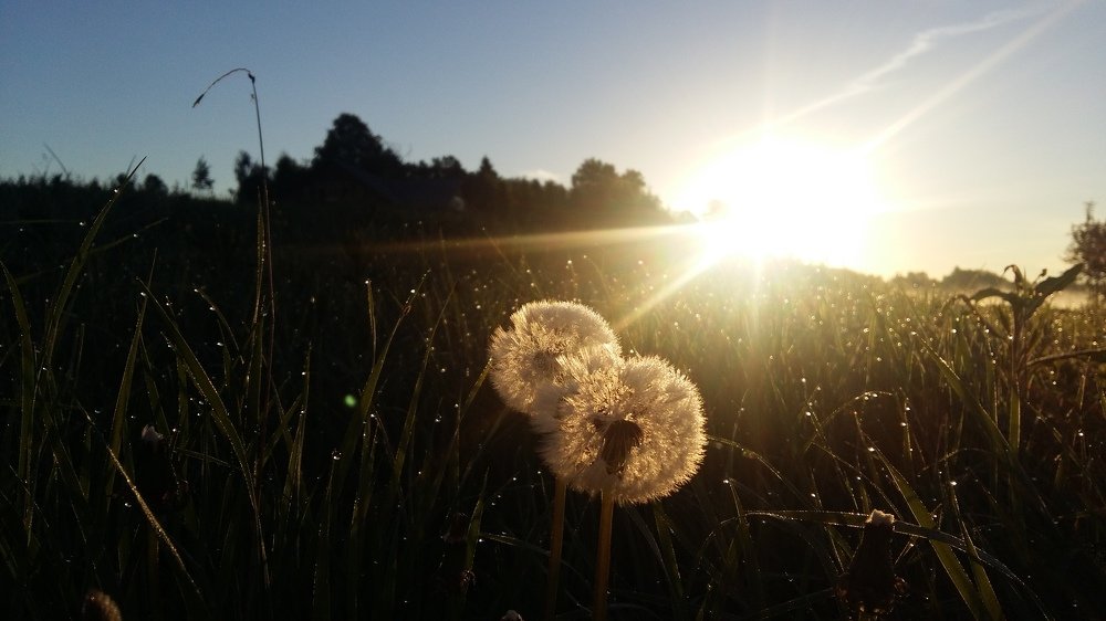 Photo #4504037