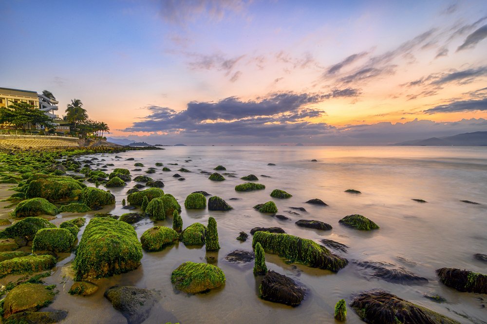 Photograph by Tran Khoa