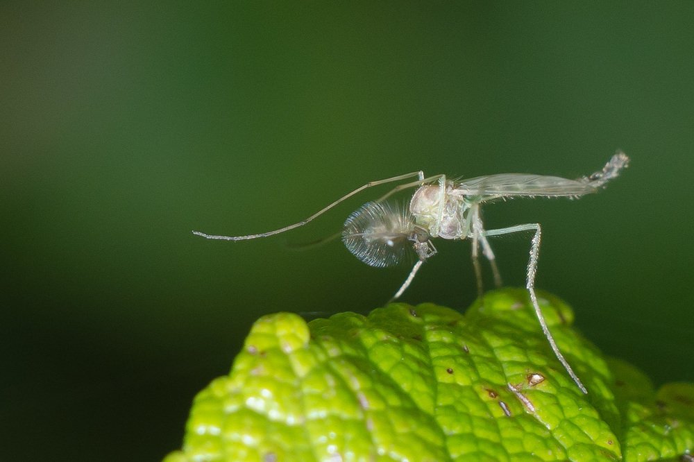 Photograph by Геннадий