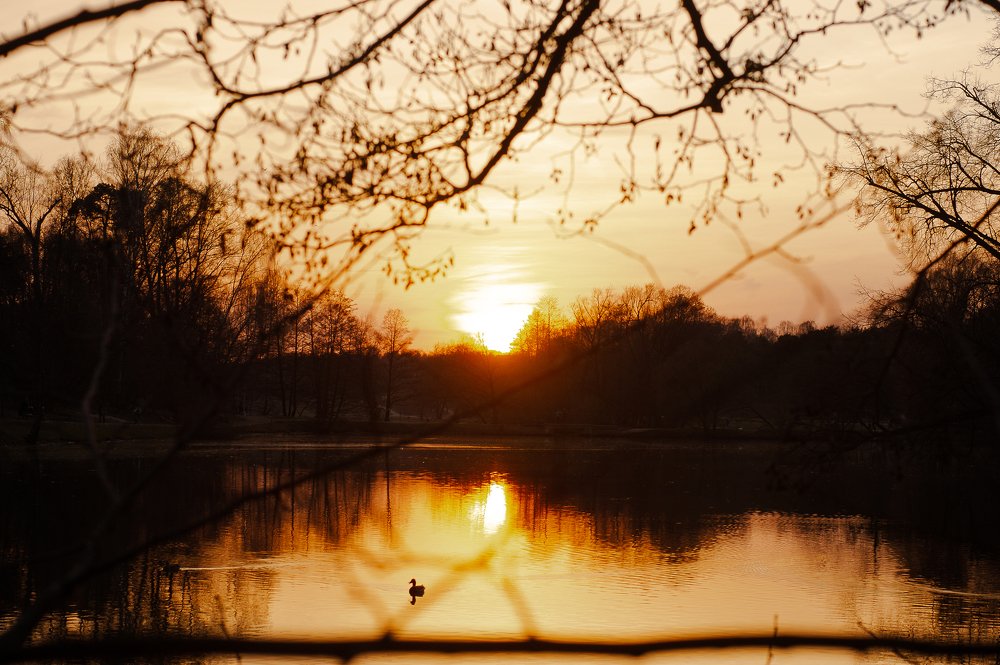 Photograph by Андрей Кобыснян