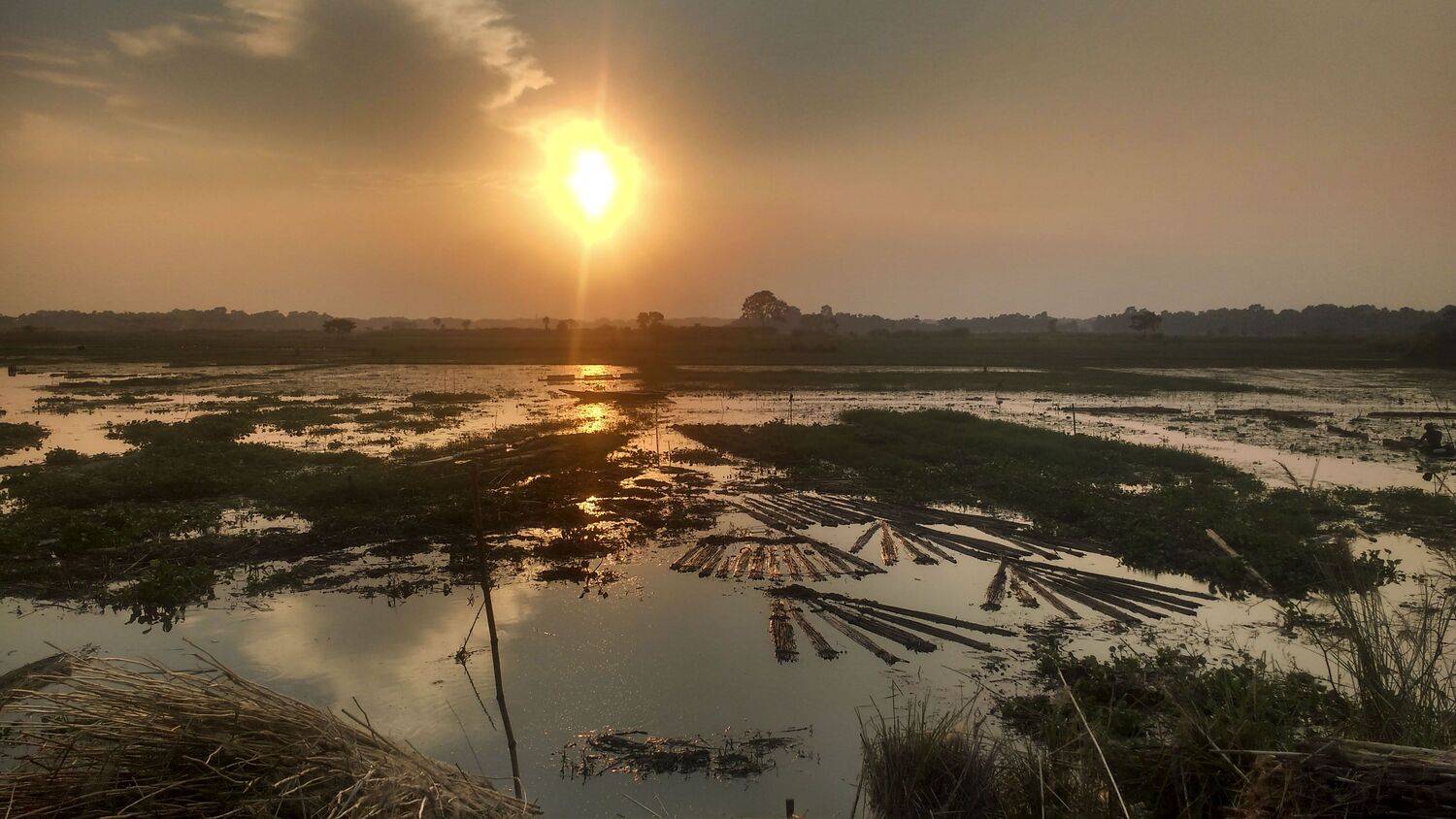 a sunset in summer