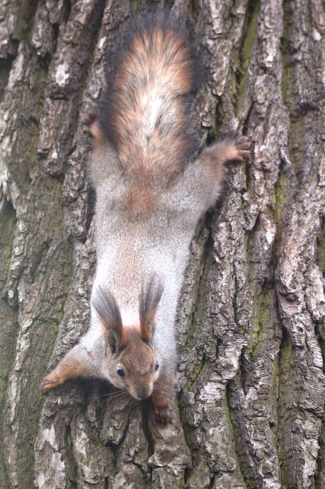 Photograph by Валентина