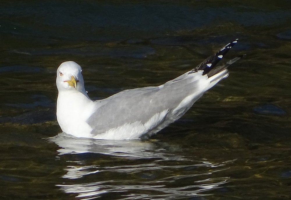 Photograph by Vanči Sešel