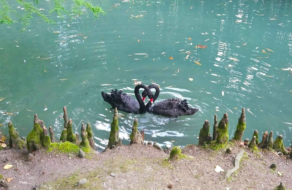 Photograph by Оксана Омельяненко