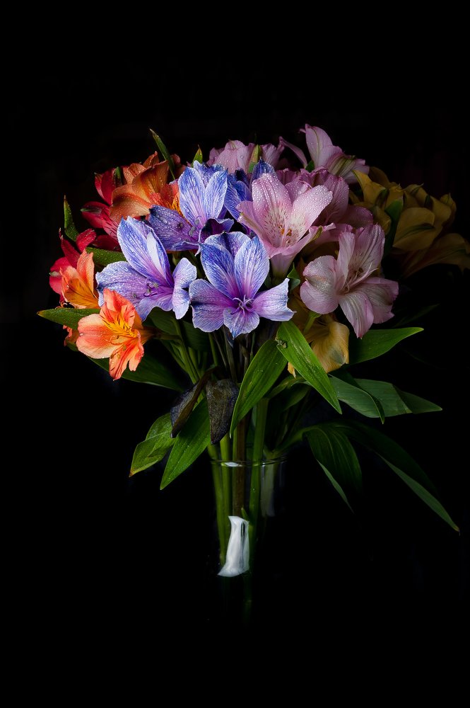 Photograph by Анастасия Селезнева