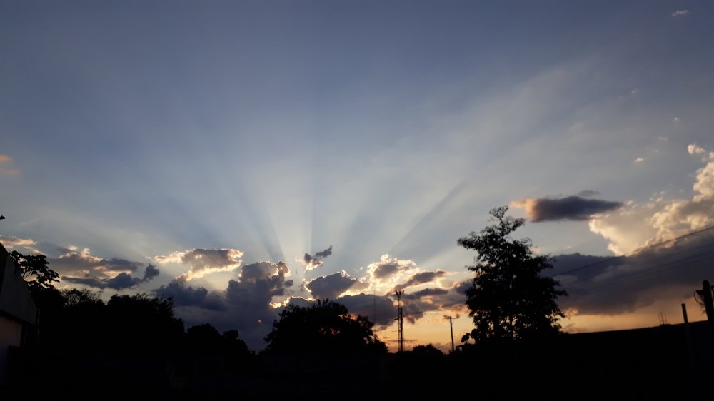Photo #4504262