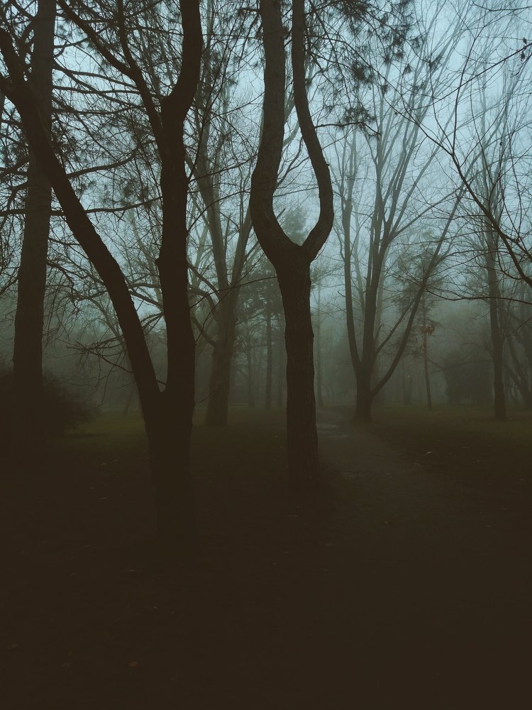 Photo #4504311