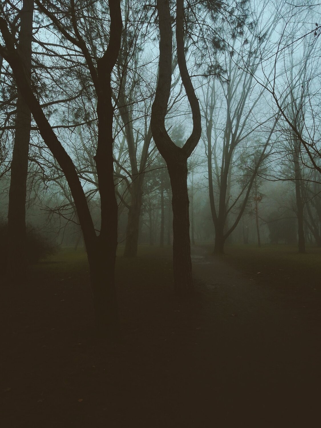 Photo #4504311