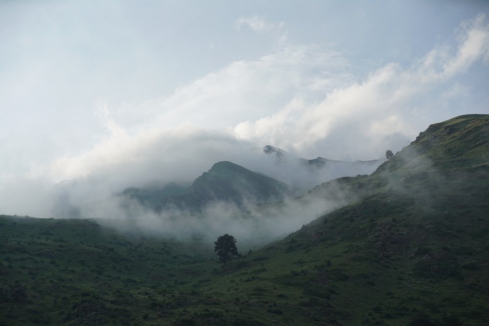 Photograph by Сандро