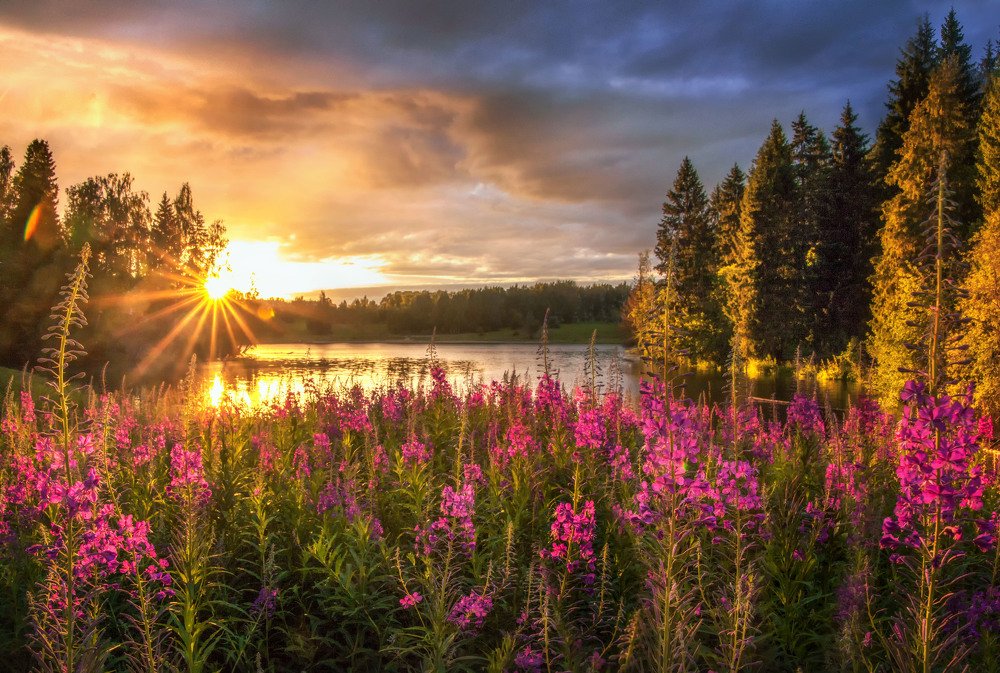 Photograph by Евгения Ботова