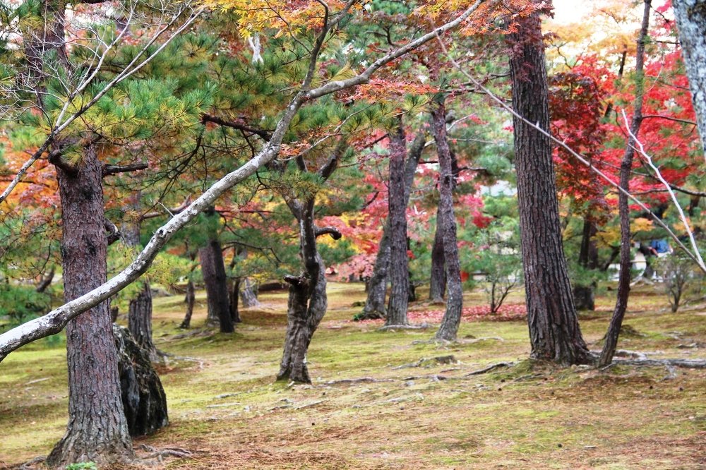 Photograph by Валентина