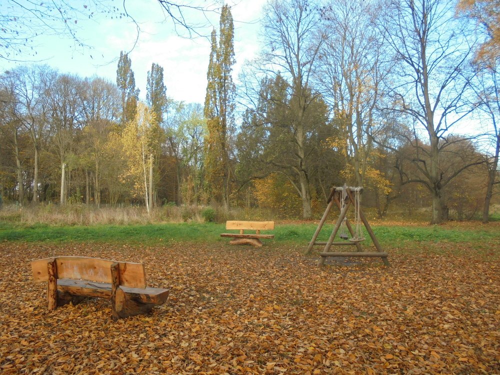 Photo #4504430