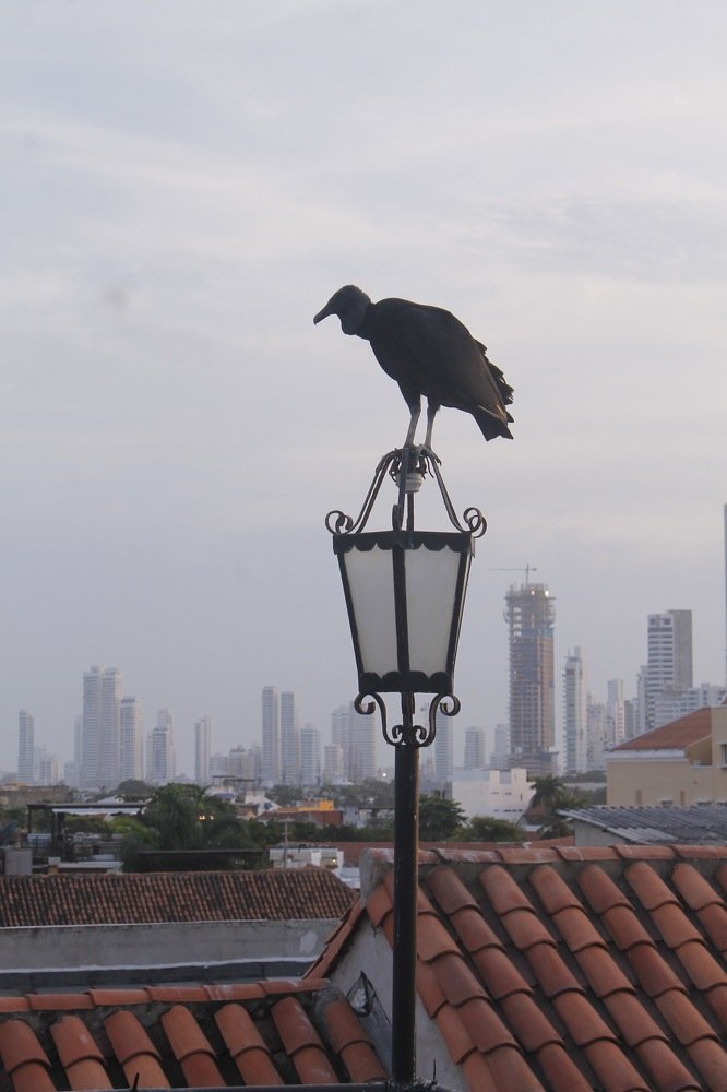 Photograph by Javier Consuegra