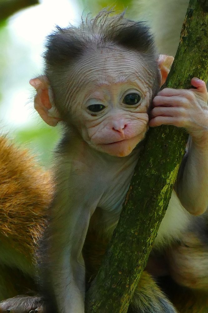 Photograph by Prabhakaran Dilakshan