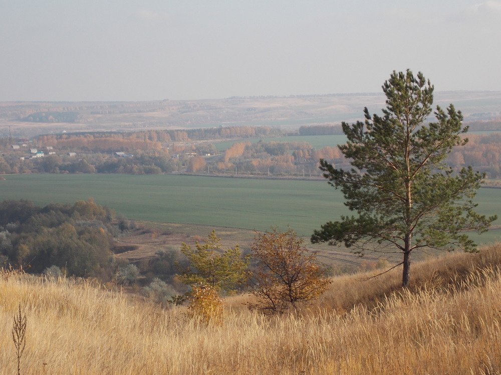 Photo #4504518