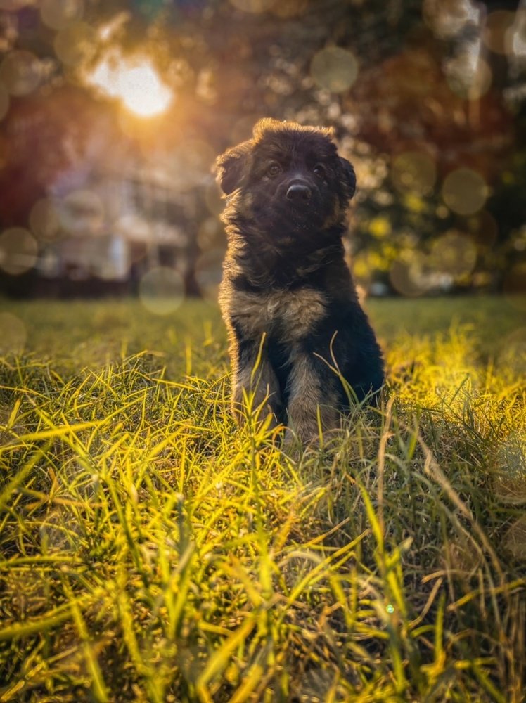 Photograph by Ashwani Thurwal