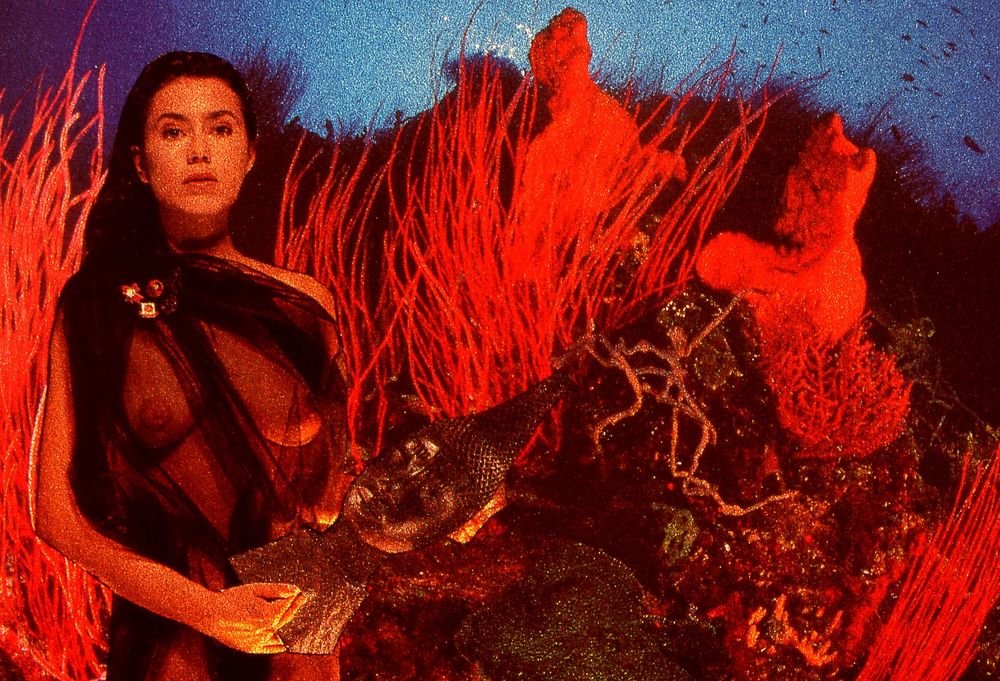 Фотография автора Maurizio Ferrante