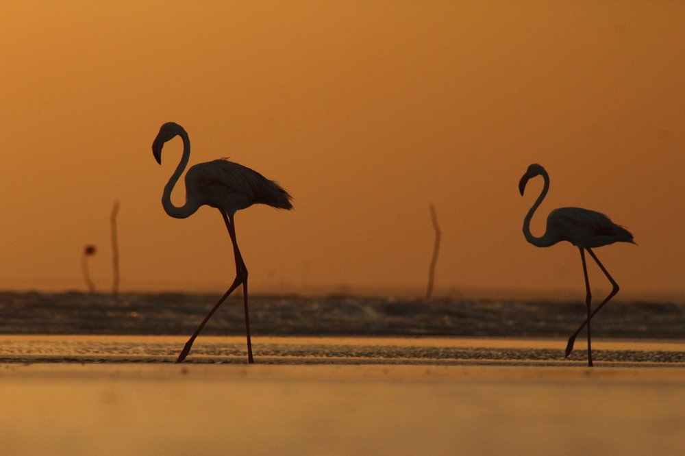 Photograph by Lalit Tank