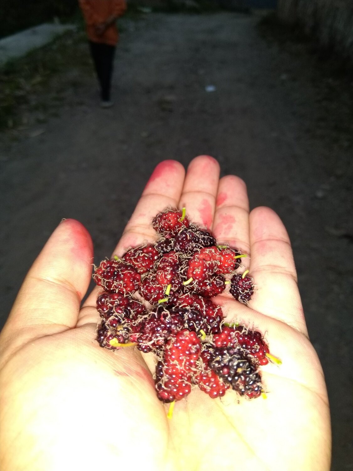 Photo #4504593