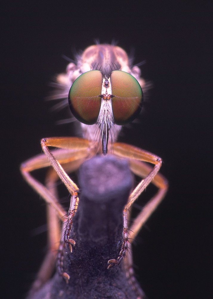 Photograph by Soujanya Bhadra