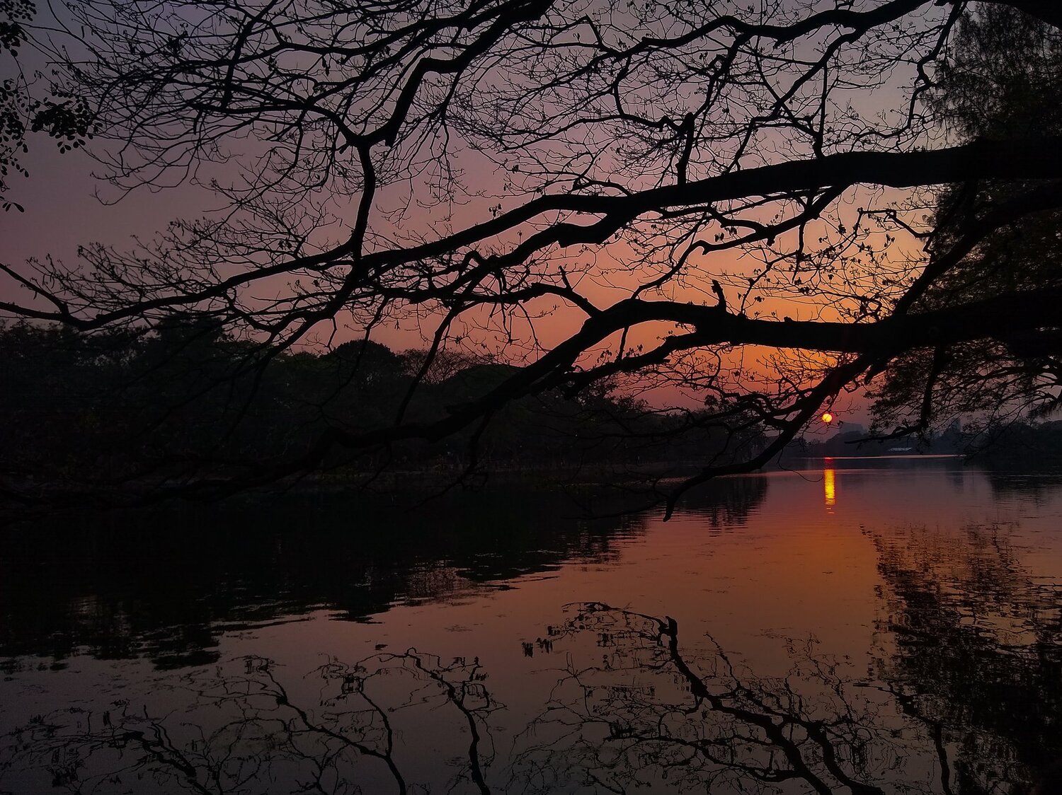 Photo #4504596