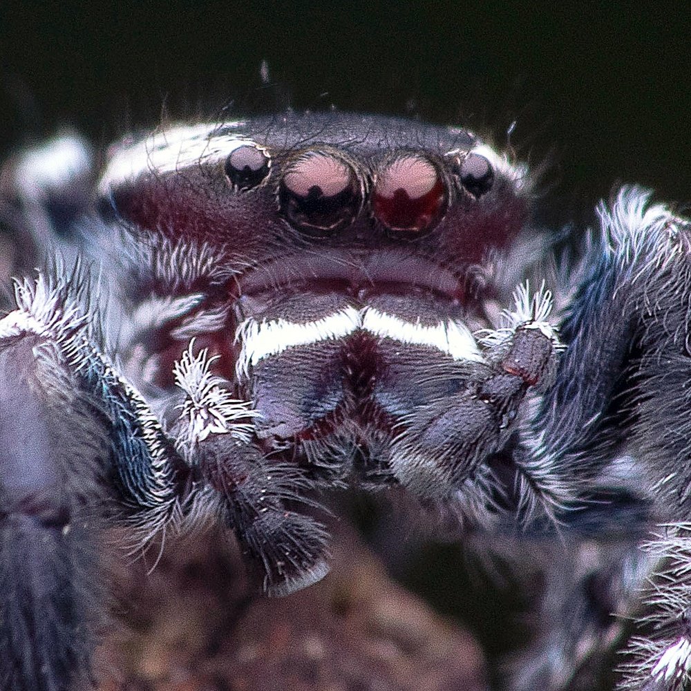 Photograph by Soujanya Bhadra