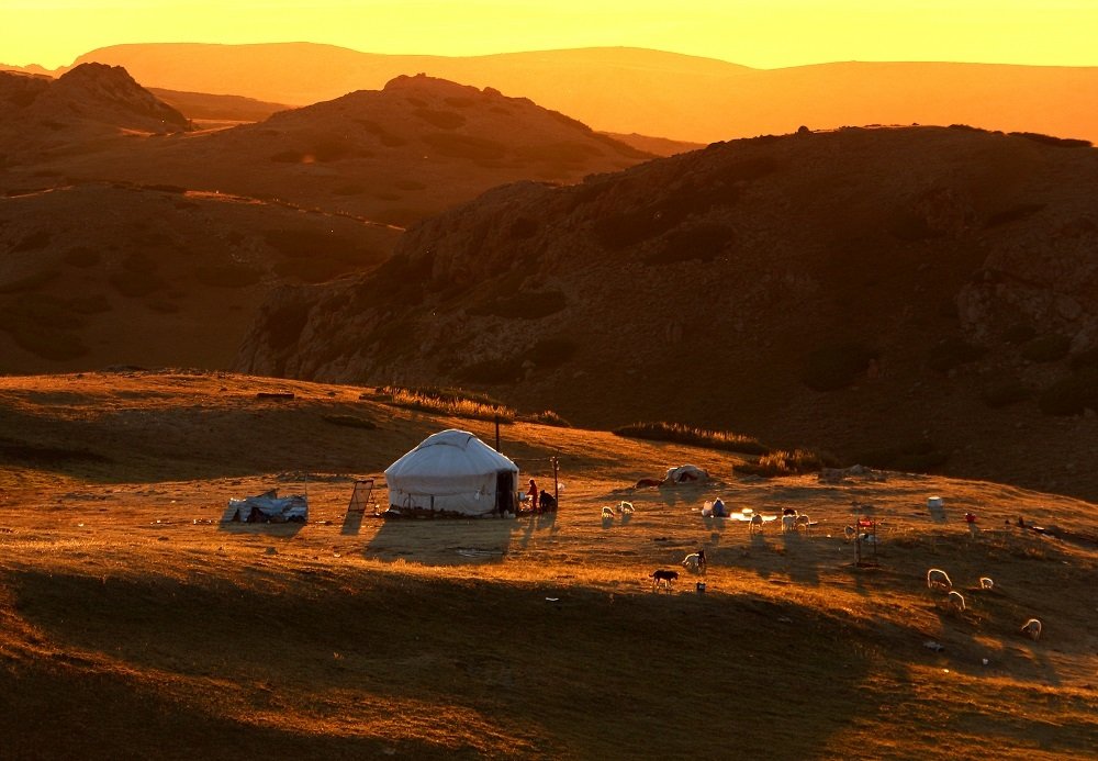 Photograph by Елена Ударцева