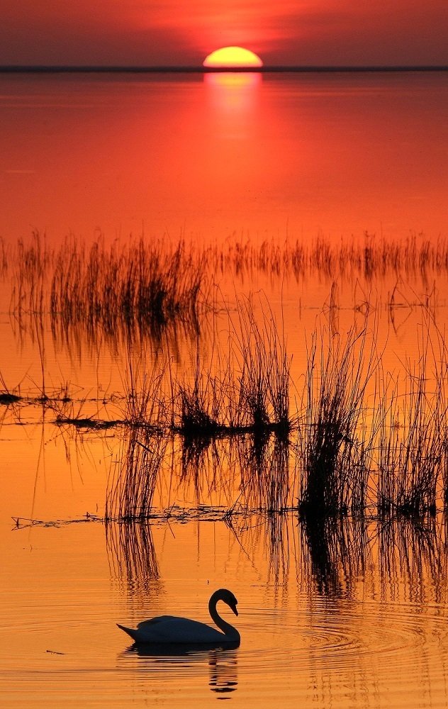 Photograph by Елена Ударцева