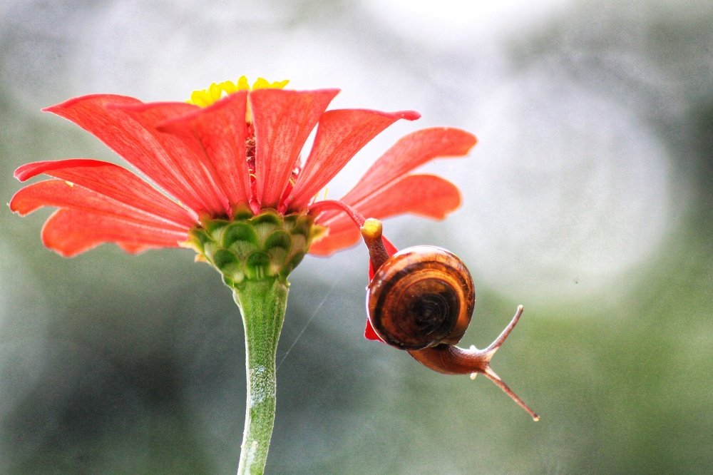 Believe me I can fly too