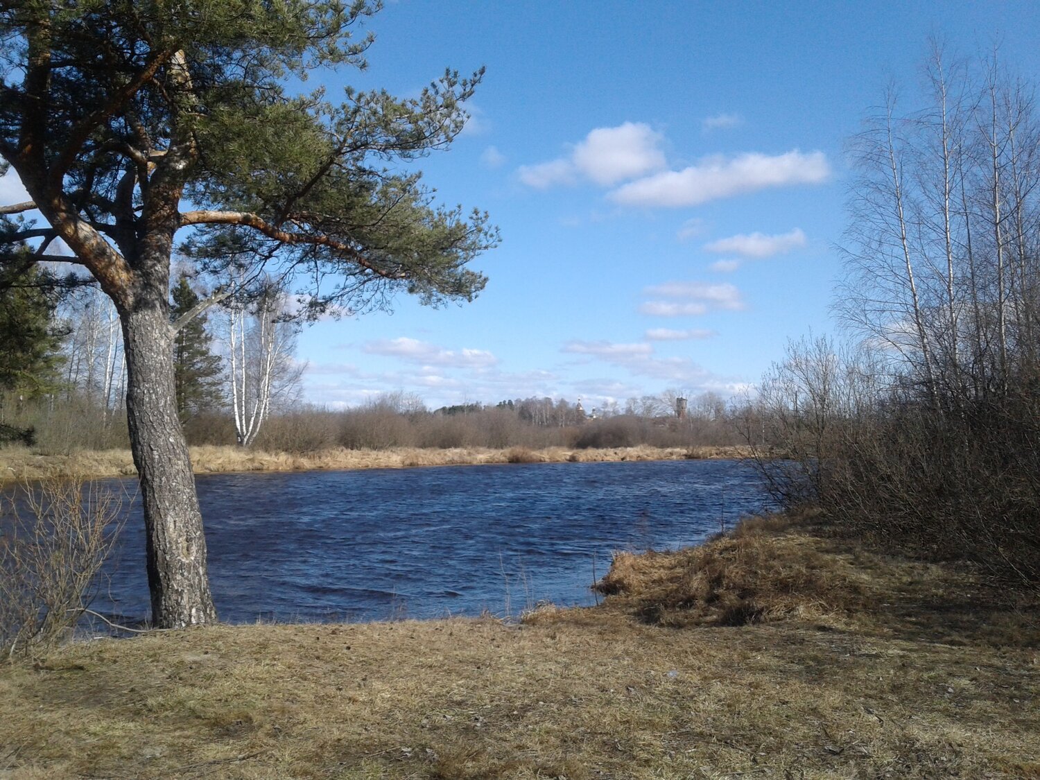 Photo #4504693
