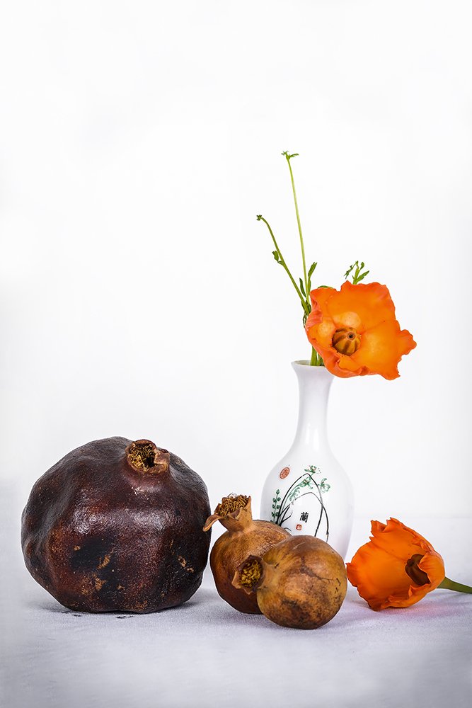 Фотография автора Majid Varasteh