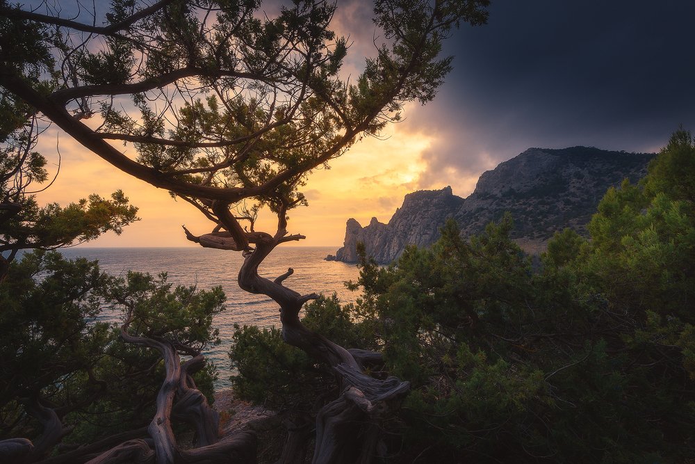 Photograph by Oleg Feofanov