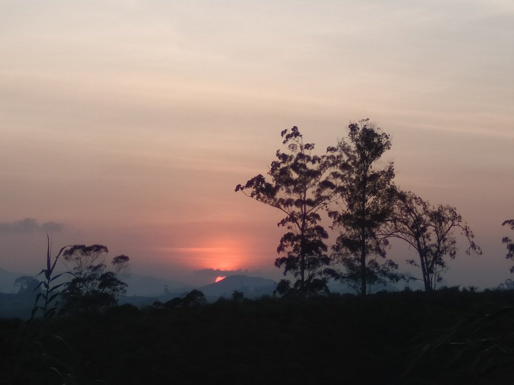 Photo #4504913