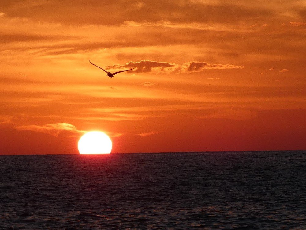 Photograph by IGNACIO LLORENTE